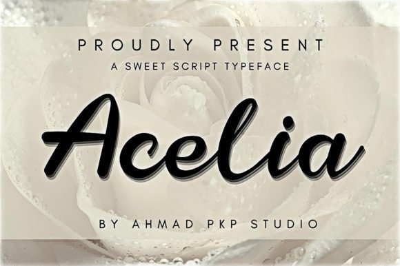 Acelia Font - Featured Image