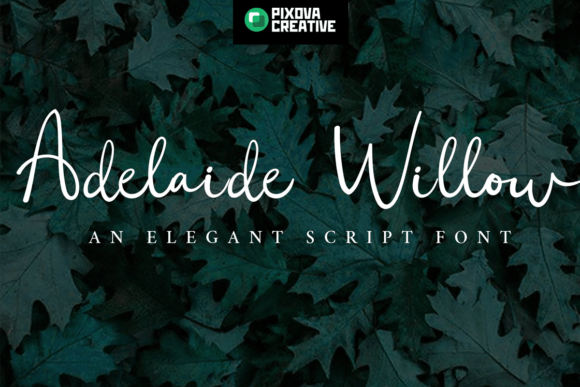 Adelaide Willow Font - Featured Image