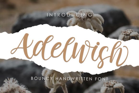 Adelwish Font - Featured Image