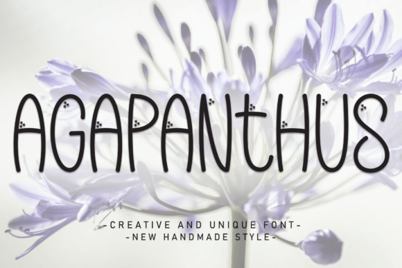 Agapanthus Font - Featured Image