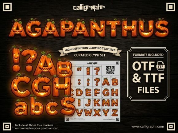 Agapanthus Font - Featured Image