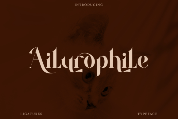 Ailurophile Font - Featured Image