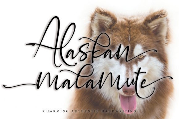 Alaskan Malamute Font - Featured Image