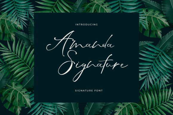 Amanda Signature Font - Featured Image