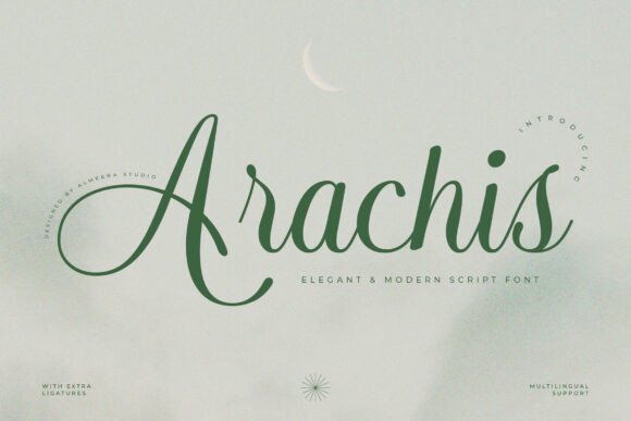 Arachis Font - Featured Image