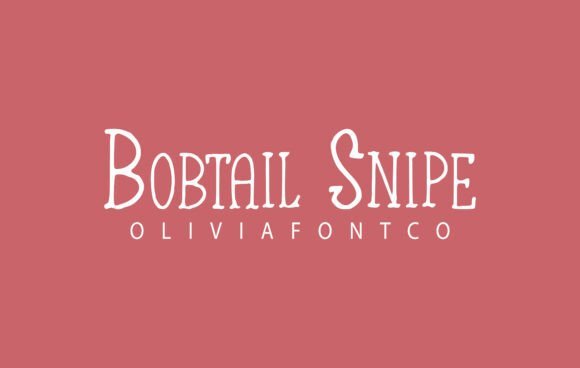 Bobtail Snipe Font - Featured Image
