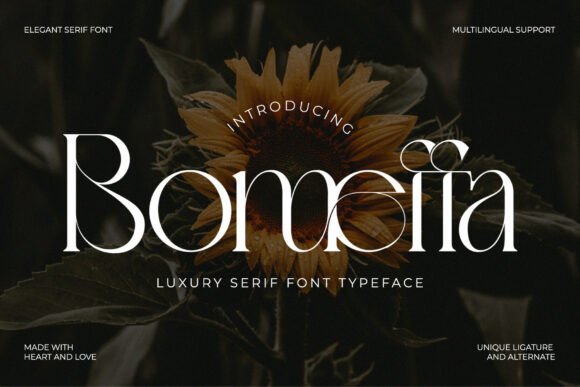 Bomeffa Regular Font - Featured Image