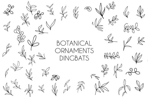Botanical Ornaments Font - Featured Image