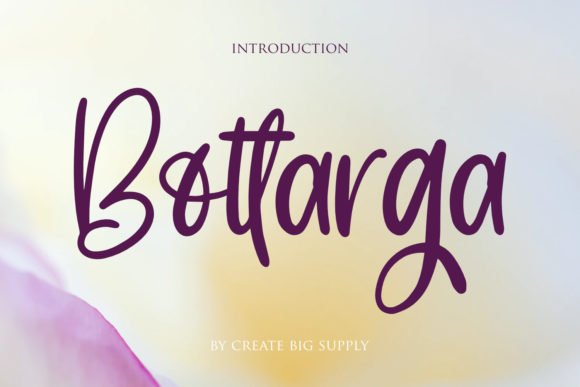 Bottarga Font - Featured Image