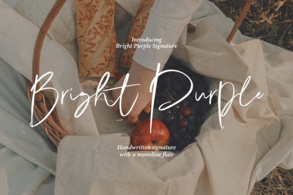 Bright Purple Font - Featured Image