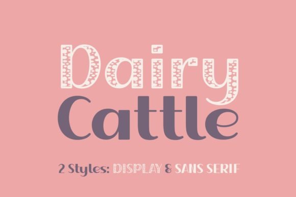 Dairy Cattle Font - Featured Image