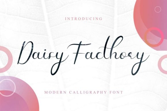 Daisy Facthory Font - Featured Image