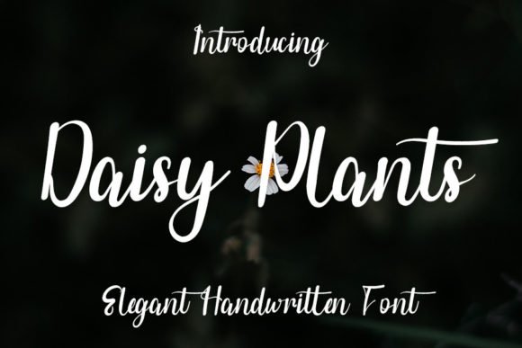 Daisy Plants Font - Featured Image