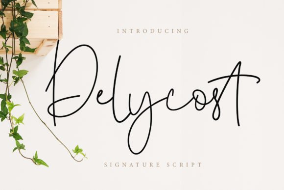 Delycost Font - Featured Image