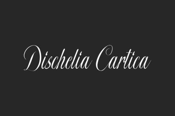 Dischelia Cartica Font - Featured Image