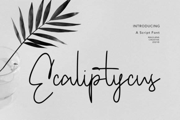 Ecaliptycus Script Font - Featured Image