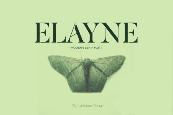 Elayne Font - Featured Image