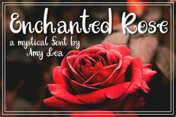 Enchanted Rose Font - Featured Image