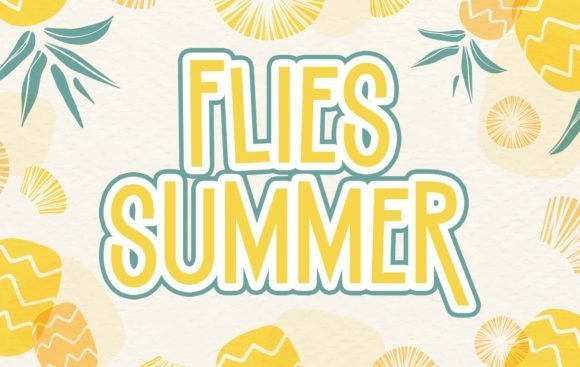 Flies Summer Font - Featured Image