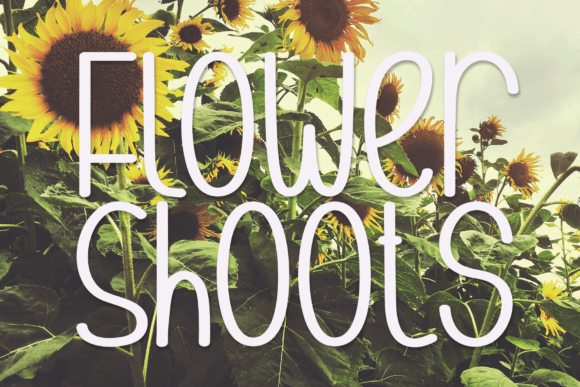 Flower Shoots Font - Featured Image