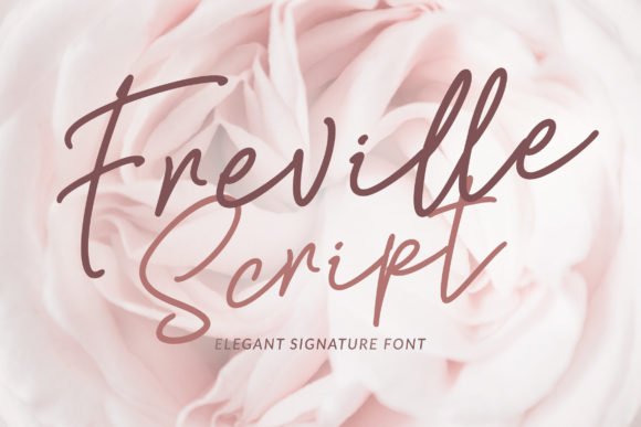 Freville Font - Featured Image