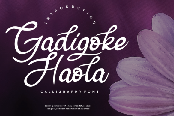 Gadigoke Haola Font - Featured Image