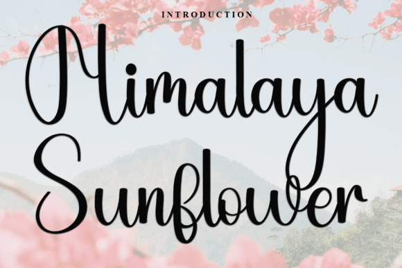 Himalaya Sunflower Font - Featured Image