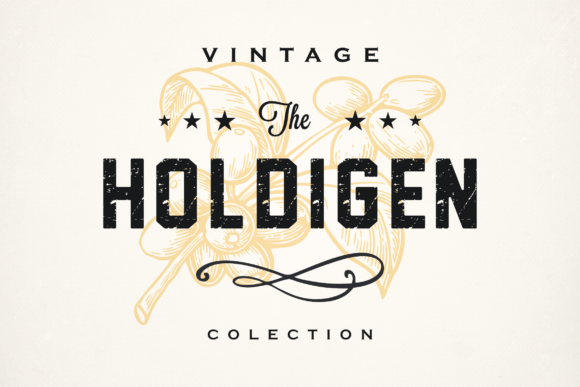 Holdigen Font - Featured Image