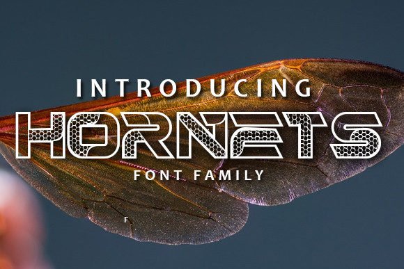 Hornets Font - Featured Image