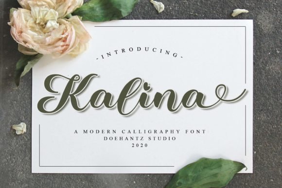 Kalina Font - Featured Image