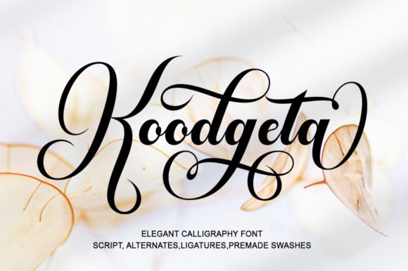 Koodgeta Font - Featured Image