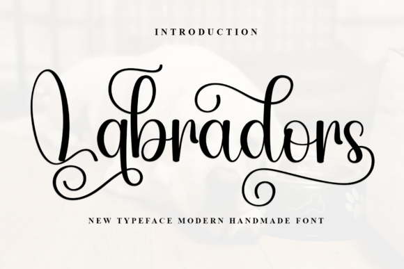 Labradors Font - Featured Image