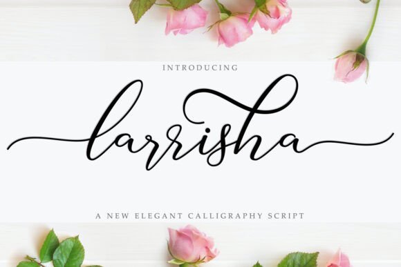 Larrisha Font - Featured Image