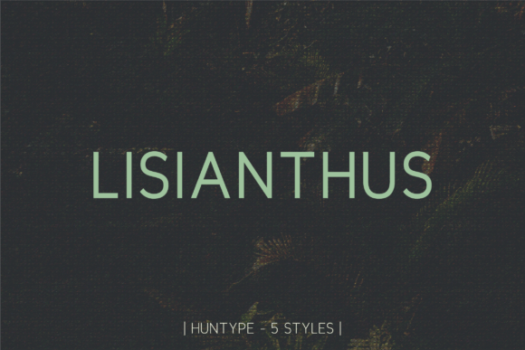 Lisianthus Font - Featured Image