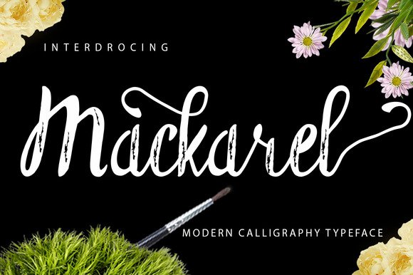 Mackarel Font - Featured Image