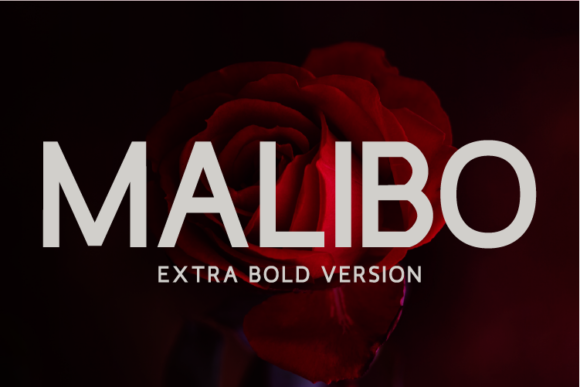 Malibo Extra Bold Font - Featured Image