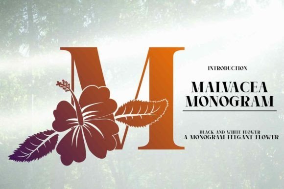 Malvacea Font - Featured Image