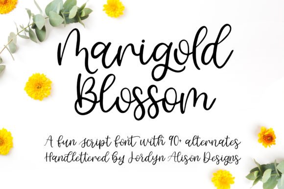 Marigold Blossom Font - Featured Image