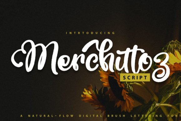 Merchittoz Font - Featured Image