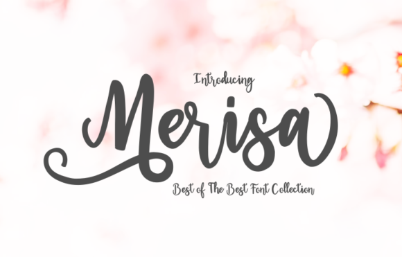 Merisa Font - Featured Image