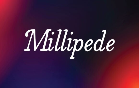 Millipede Font - Featured Image