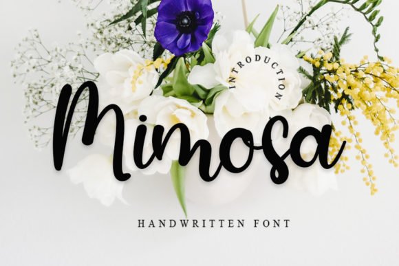 Mimosa Font - Featured Image