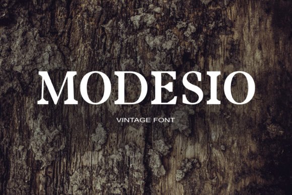 Modesio Font - Featured Image