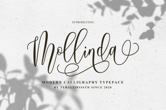 Mollinda Font - Featured Image