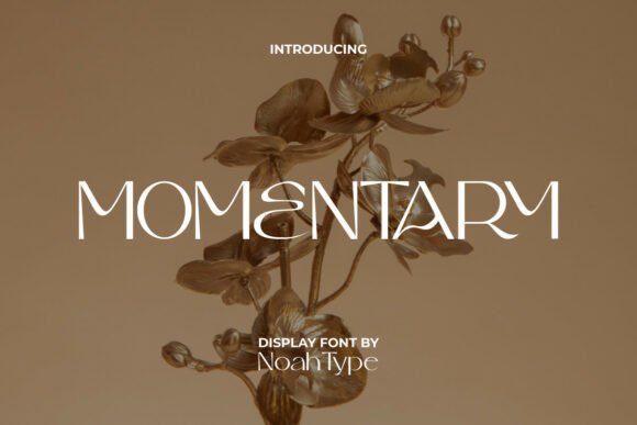 Momentary Font - Featured Image