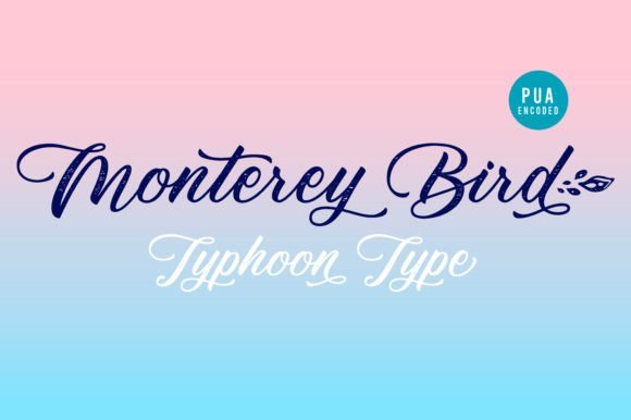 Monterey Bird Font - Featured Image