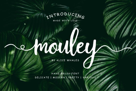 Mouley Font - Featured Image