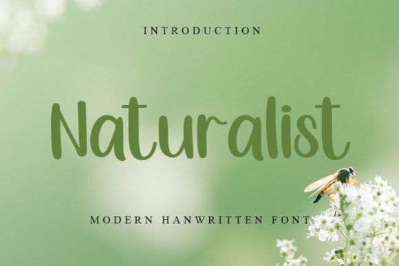 Naturalist Font - Featured Image