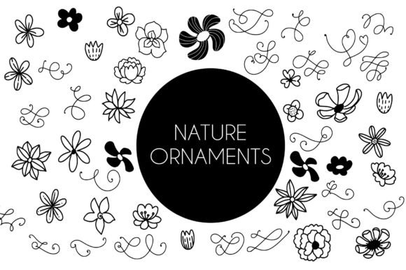 Nature Ornaments Font - Featured Image