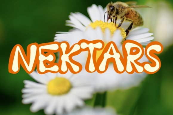 Nektars Font - Featured Image